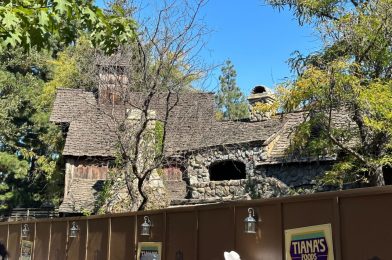 PHOTOS: 2 Holes ‘Dug a Little Deeper’ Into Former Splash Mountain for Tiana’s Bayou Adventure Transformation at Disneyland