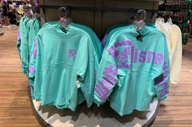 Your Whole Family Can Match in The New Youth & Adult Teal Spirit Jersey Available at Walt Disney World