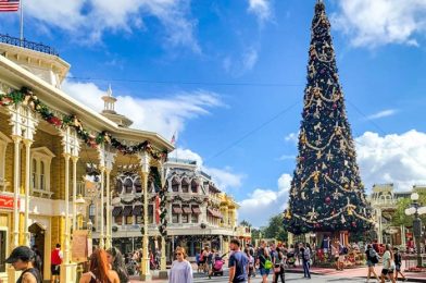 4 Things That CHANGE in Disney World When the Temperature Starts to Drop