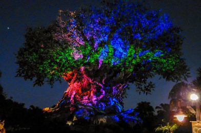We’re at Extended Evening Hours in Animal Kingdom — Come With Us!