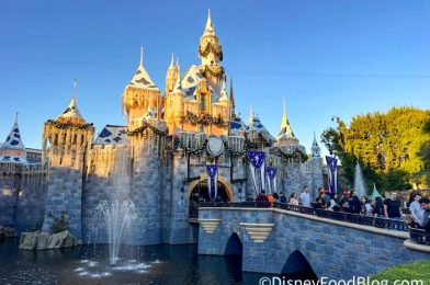 MENUS with PRICES Are Up at the 2023 Disneyland Festival of Holidays