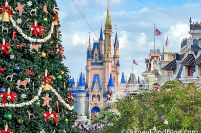 Why You Don’t Want To Be in Magic Kingdom on January 4th