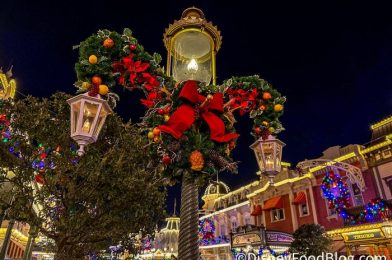 Come With Us To See Mickey’s Most Merriest Celebration in Disney World!