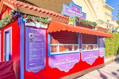 REVIEW: These Drinks Are Basically Liquid Churros at Disney’s Festival of Holidays