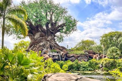 A Disney Executive Just Dropped MAJOR Hints About the Possible Animal Kingdom ‘Indiana Jones’ Ride