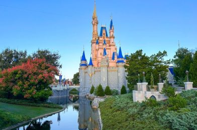 ALERT! Tomorrow Is a Huge Day for Anyone Going to Disney World in January!