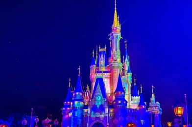 A Word of WARNING If You’re Buying After Hours Tickets for Disney World