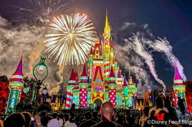 Come Watch an ✨ EXCLUSIVE Fireworks Show ✨ in Magic Kingdom With Us!