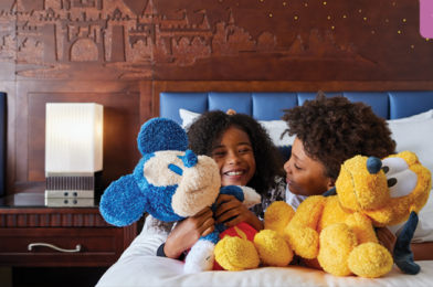 Eligible Military Member Discounts For Disneyland Hotels and Park Tickets 2024