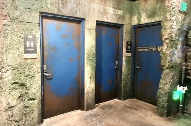 Guests (Still) Pooping in Queues for Avatar Flight of Passage, Star Wars: Rise of the Resistance, and Indiana Jones Adventure