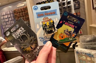 Disneyland Resort Updates Pin Trading Guidelines to Restrict Non-Lanyard Trading, Ban Using Benches for Display