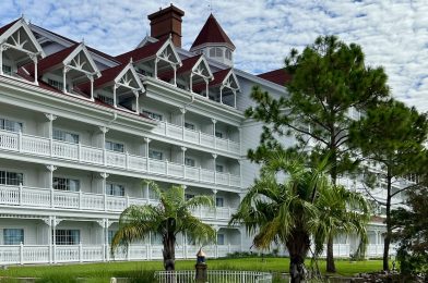 Direct Sales Drop in October 2023 as Grand Floridian Winds Down