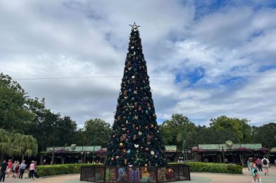 PHOTOS: Giant Tree and More DinoLand Decor Arrive for Christmas at Disney’s Animal Kingdom