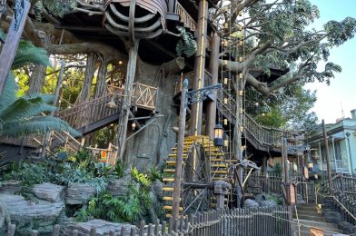 PHOTOS, VIDEO: Tour the Brand New Adventureland Treehouse Inspired by Walt Disney’s Swiss Family Robinson at Disneyland