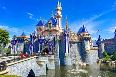 DFB Video: Should You Go to Disneyland in 2024?