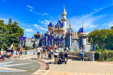 BREAKING: Disneyland Visitor Hospitalized After Being Struck By Lamppost