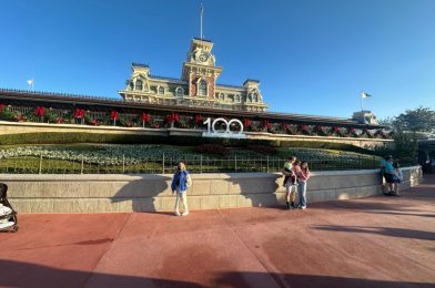 PHOTOS: First Christmas Decorations Arrive at Magic Kingdom for 2023 Holiday Season