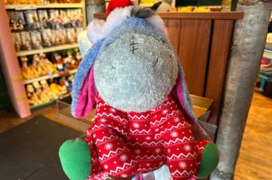 New Christmas Weighted Eeyore Plush at Walt Disney World