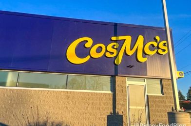 We Went to the NEW McDonald’s Spin-Off Restaurant, CosMc’s — We’re Sharing a FIRST LOOK and Some Hot Takes!