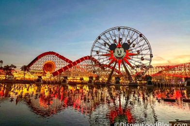 NEWS! DATES ANNOUNCED For 2024 Disney California Adventure Food and Wine Festival!