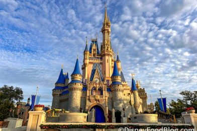 46 Attractions You’ll Never Wait More Than An Hour For in Disney World