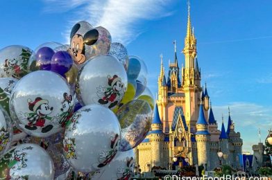 8 Mistakes We Made in Disney World in 2023