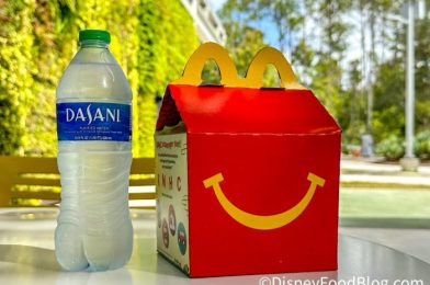 McDonald’s Might Be Bringing Back the BELOVED Snack Wrap and We Are LOSING IT