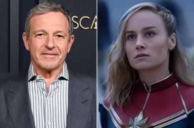 Bob Iger Pinpoints What Went Wrong With Marvels Movie (Spoiler: Lots of Things)