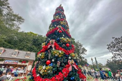 Surprise: Disney World is Already WAY TOO Crowded For A Day This Early In December!