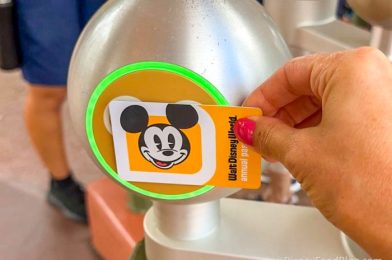 START DATE ANNOUNCED for Annual Passholder Ticket CHANGES in Disney World