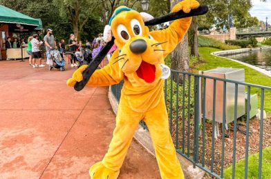 We’ve Gotta Share Some GOOD NEWS About Characters in Disney World