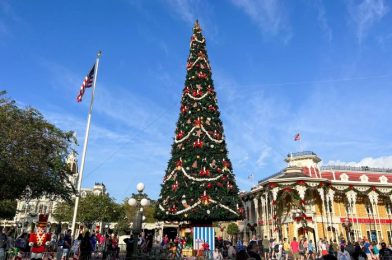 You Won’t BELIEVE The Christmas Eve Crowds in Disney World