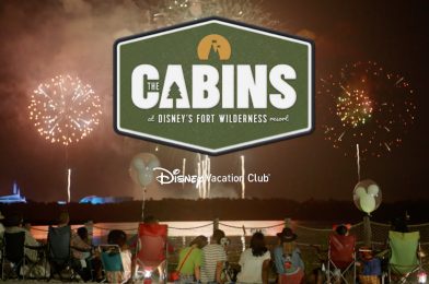 Fort Wilderness Cabins’ Sleeping and Bathroom Accommodations Outlined