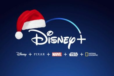 Everything You Need To Know About Disney+ Customer Service
