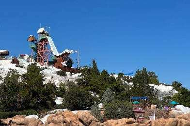 Disney’s Blizzard Beach to Remain Closed Into January Due to Cold Temperatures