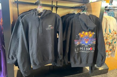 Full List (with Prices) of New ‘Luminous: The Story of Us’ Merchandise at EPCOT for Debut of Nighttime Spectacular