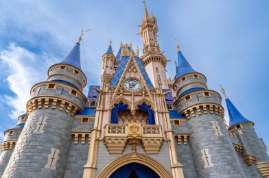 Disney Files Another 12 Lawsuits Against Florida Appraiser Over ‘Excessive’ Property Taxes