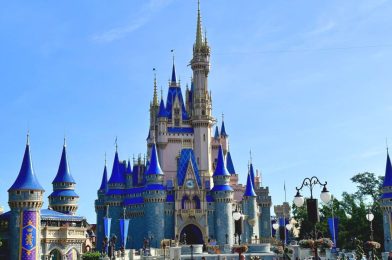 UPDATE: Walt Disney World Confirms Trespassing Third-Party Tour Guides for Violating Rules and ‘Impeding Theme Park Operations’