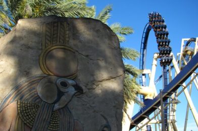 All About Busch Gardens Tampa Bay Height Requirements