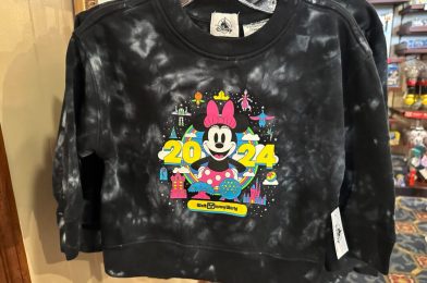 NEW Walt Disney World 2024 Merchandise Includes Model Vehicles, Mickey Mouse Plush, & More