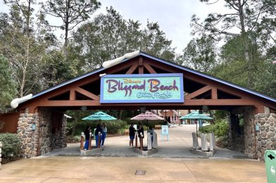 Disney’s Blizzard Beach Water Park Closed After Just Two Hours Today Due to Cold Temperatures