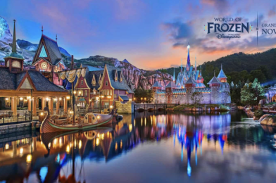 BONUS DFB VIDEO! Come INSIDE The Brand New WORLD of FROZEN With Us!