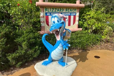 Disney’s Blizzard Beach Water Park Temporarily Closing December 11 Due to Low Temperatures