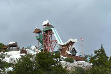 Disney Keeping Blizzard Beach Water Park Closed For Three More Days Due to Cold Weather