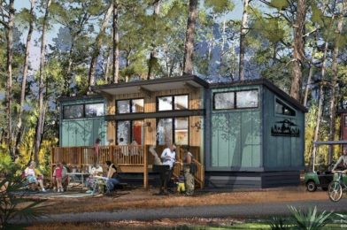 New Concept Art and Logo Revealed for DVC Cabins at Disney’s Fort Wilderness Resort & Campground
