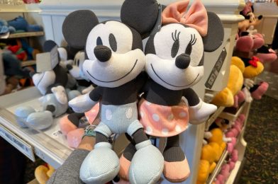 PHOTOS: New My First Mickey and Minnie Plushes Arrive at Walt Disney World for 2024 Babies