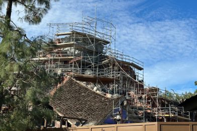 PHOTOS: Rockwork Continues and New Steel Frame Installed on Tiana’s Bayou Adventure at Disneyland