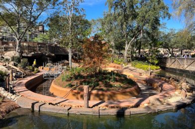 PHOTOS: Flowers Cover Tiana’s Bayou Adventure Mountaintop, Boards Installed on New Train Station Exit, More Construction Walls Erected in Queue at Magic Kingdom