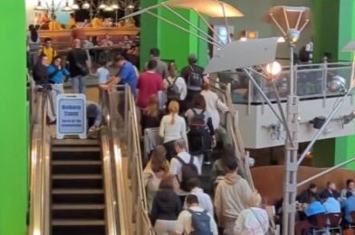 Stuck Shoe Shuts Down Busy Escalator AGAIN at The Land Pavilion in EPCOT