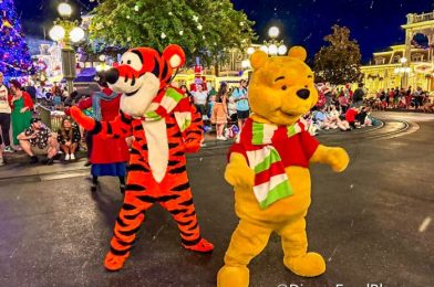 Did You Know About This EXCLUSIVE Disney Vacation Club Event in Disney World?